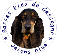 Jasons blue baset logo